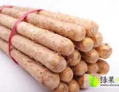 莘县王庄宋先生10月白玉山药