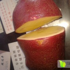 定西土豆假一赔十,安定马延宏诚信合作