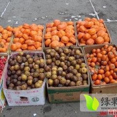 山西万荣9月黄柿子香甜可口