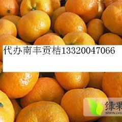 江西南丰南丰蜜桔柑橘名扬天下
