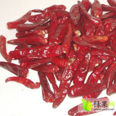 2014玉田辣椒抓住商机无限