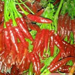 今年的新货就要上市了