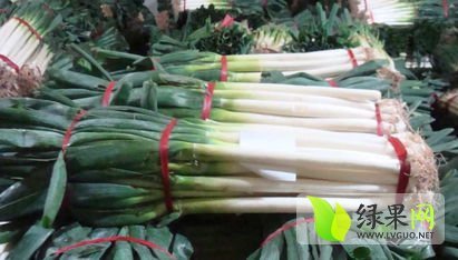 山东山东张浩10月鸡腿大葱