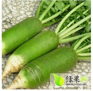 2014年河南南阳青皮白萝卜价格