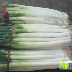 山东滕州 诚信合作期待你的光临！