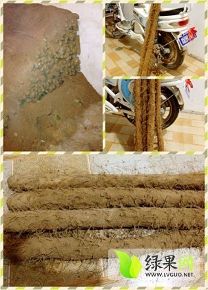 2014年山东牡丹佛手山药价格