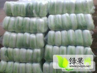 2014年湖南君山黄心大白菜价格