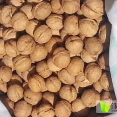 新疆阿克苏薄皮核桃价格戈壁核桃诚信合作