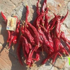 开鲁辣椒价格行情平稳,六寸范春山诚信合作