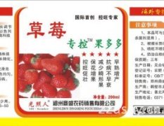 郯城建设刘芳1月草莓旺长控旺农药