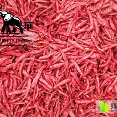 金乡三樱辣椒行情分析，远华辣椒