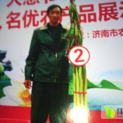 章丘章丘苗发勇10月大梧桐大葱