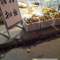 武穴柑橘是名优特产,梅川阮文奎诚信合作
