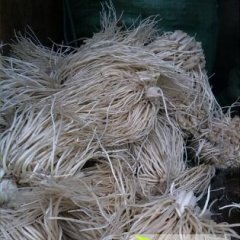 2014大理市韭菜抓住商机无限