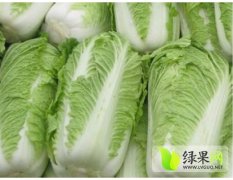 肥城白菜何去何从,王庄尚庆良诚信合作