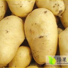 海拉尔土豆价格适宜,南屯张金玲诚信合作