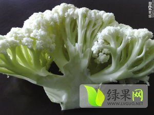 江苏铜山白面青梗松花菜菜花逐渐升温