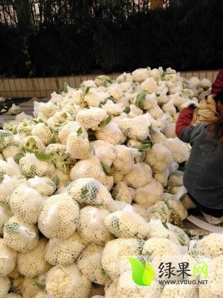 2014年江苏沛县花菜价格