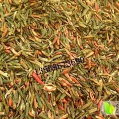 河南绿辣椒，河南干青椒