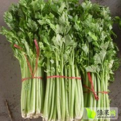 代收山东沂南芹菜口感爽口,房师兴 诚信合作