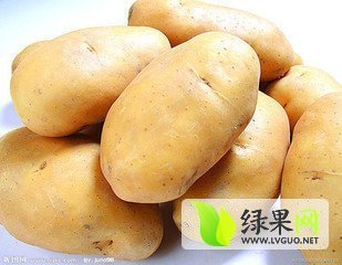 2014年黑龙江呼兰荷兰七号价格
