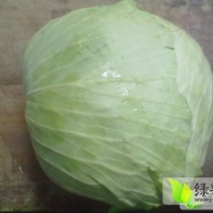 2014通许甘蓝走过路过不要错过