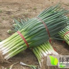 东昌府大葱欢迎合作,沙镇刘义财诚信合作