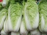2014年山东平度87-114白菜价格