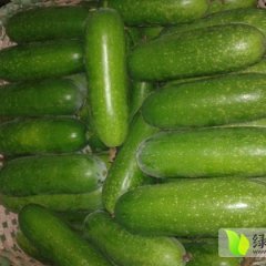 合浦石康庞慎安5月铁冠军冬瓜