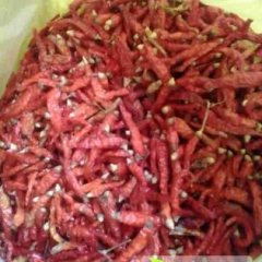 2014武鸣辣椒钱多人傻速来抢购