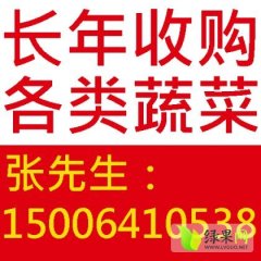 济南匡山蔬菜大世界大量收购各类蔬菜