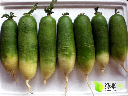 2014年山东肥城里外青价格
