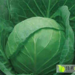 2014金乡甘蓝今年价格有看点