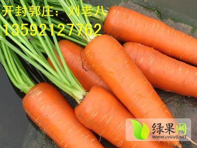 2014年河南开封三红萝卜价格