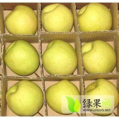 陕西大荔酥梨上货量大