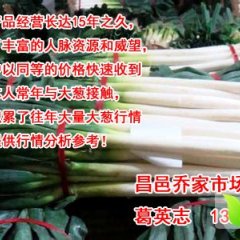 昌邑乔家葛英志10月长白大葱