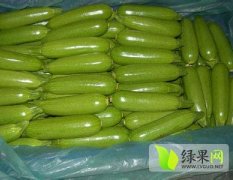 东昌府西葫芦聚焦市场,沙镇刘广义诚信合作