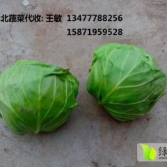 嘉鱼甘蓝口感爽口,潘家王明明诚信合作