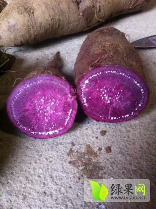 紫薯价格