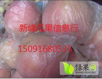 2014年陕西大荔红富士价格