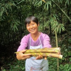 2014崇州牛尾笋再不来就没机会了！