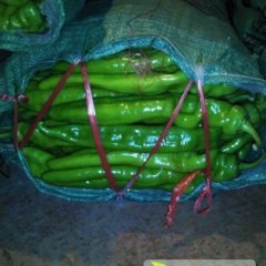 我处大量辣椒上市 欢迎前来收购