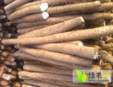 大名山药耐贮耐运 营养丰富 绿色无公害