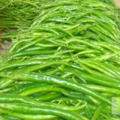 费县辣椒种植面积大 品质好 色泽鲜艳