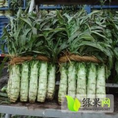 郯城福建永安红莴苣质量优 皮薄肉脆 绿瓤