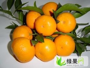 广西桂林南丰蜜桔 棉橘 砂糖 最后的好货。要抓紧