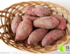 泗水红薯保质保量 绿色无公害 欢迎来收购
