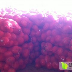 山西神池密本南瓜绿色无农药害产品