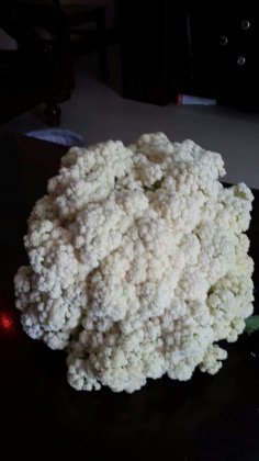 武汉长期供应菜花 品质优良 绿色无污染蔬菜