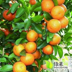 广西鹿寨县四排乡